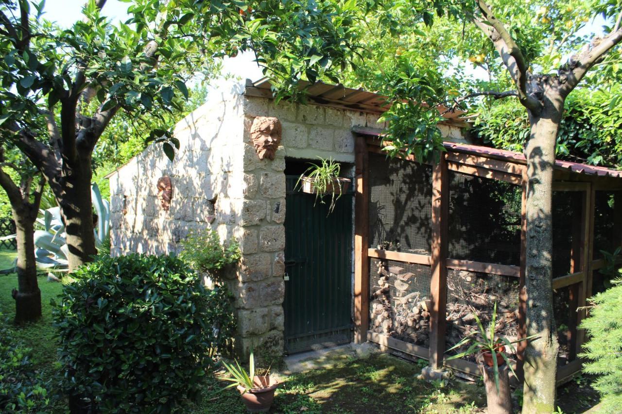 Il Giardino Degli Agrumi Caserta Exterior foto